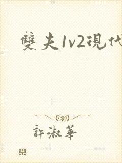 双夫1v2现代