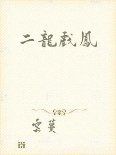 二龙戏凤