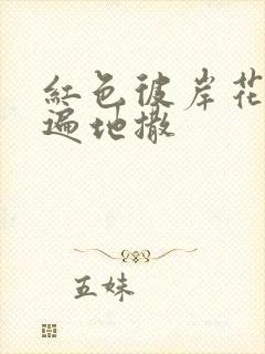 红色彼岸花花瓣遍地撒