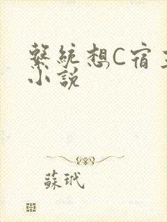 系统想C宿主的小说