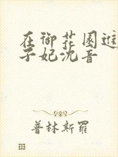 在御花园进入太子妃沈音