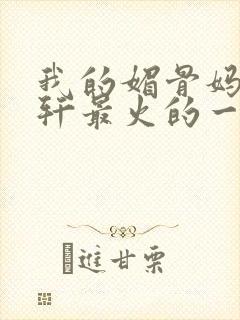 我的媚骨妈妈林轩最火的一句