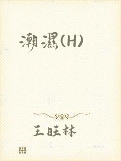 潮湿(H)