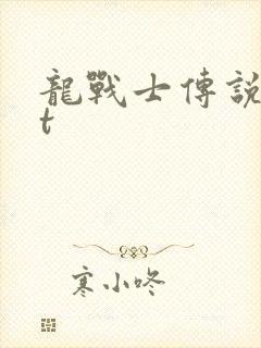 龙战士传说txt