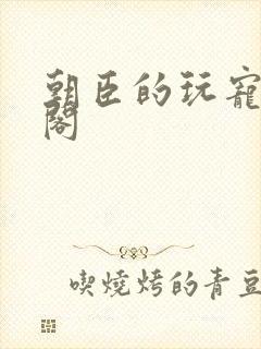 朝臣的玩宠笔趣阁