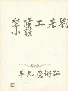 装修工老刘林雪小说封面