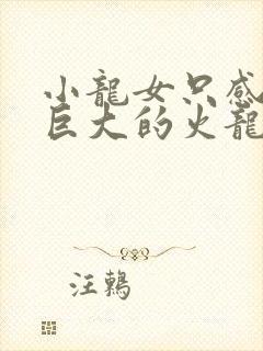 小龙女只感觉那巨大的火龙枪