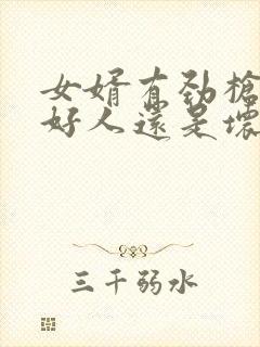 女婿有劲枪枪是好人还是坏人