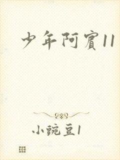 少年阿宾11