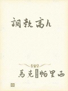 调教高h