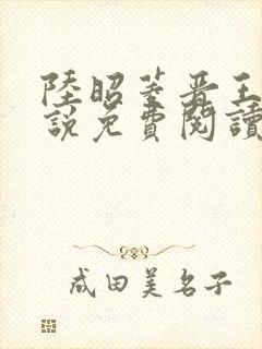 陆昭菱晋王的小说免费阅读