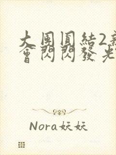 大团圆结2亲情会闪闪发光目录