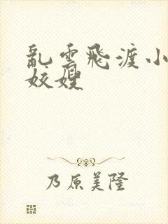 乱云飞渡小说之姣嫂