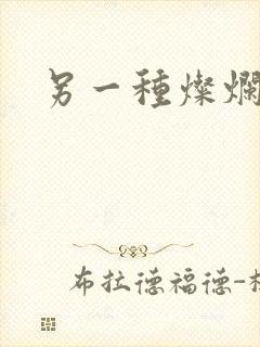 另一种灿烂生活