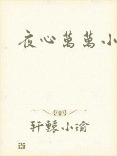 夜心万万小说