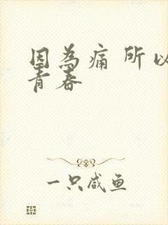 因为痛 所以叫青春