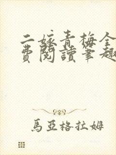 二嫁青梅全文免费阅读笔趣阁