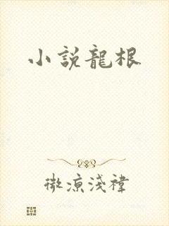 小说龙根