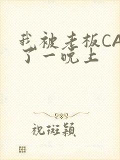 我被老板CAO了一晚上