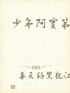 少年阿宾第二部