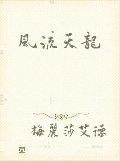 风流天龙