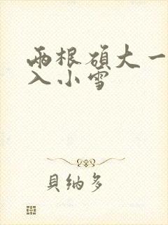 两根硕大一起挤入小雪