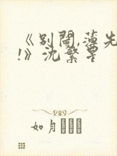 《别闹,薄先生!》沈繁星