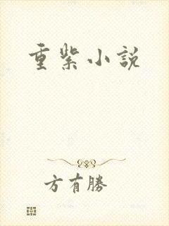 重紫小说