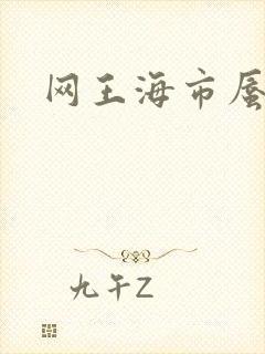 网王海市蜃楼