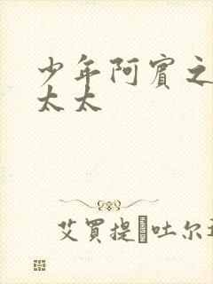 少年阿宾之房东太太