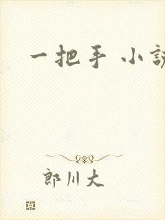 一把手 小说