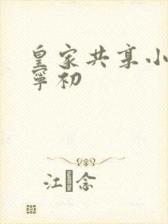 皇家共享小公主宁初