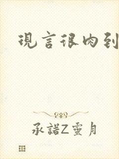 现言很肉到处做