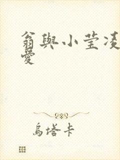 翁与小莹凌晨欢爱