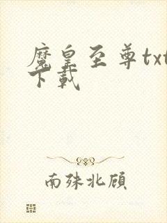 魔皇至尊txt下载