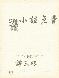 sm小说免费阅读