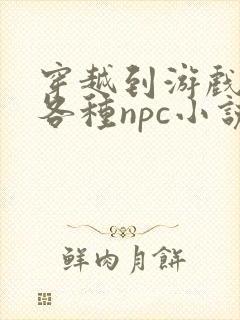 穿越到游戏里和各种npc小说