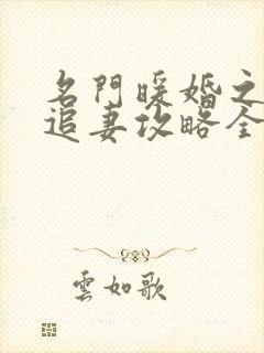 名门暖婚之权爷追妻攻略全文免费阅读