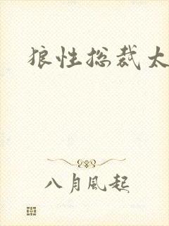 狼性总裁太凶猛