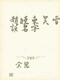 赵晓东吴雪晴小说名字