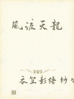 风流天龙