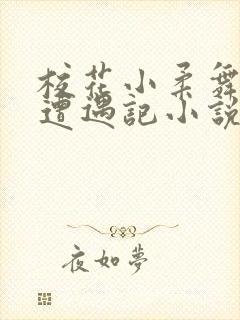 校花小柔舞蹈室遭遇记小说