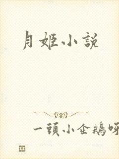 月姬小说