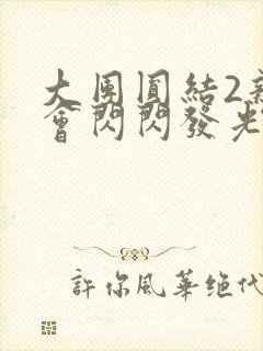 大团圆结2亲情会闪闪发光亲情会2