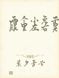 两个小兔子在衣服里左右晃