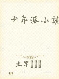 少年派小说
