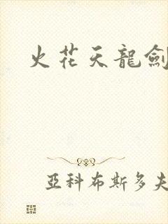 火花天龙剑