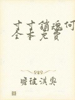 寸寸销魂何生祥全本免费