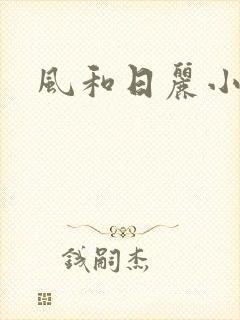 风和日丽小说