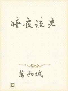暗夜流光